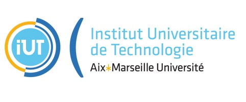 Logo IUT Mesures Physiques